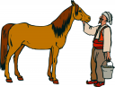 Horse Clipart