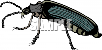 Bug Clipart