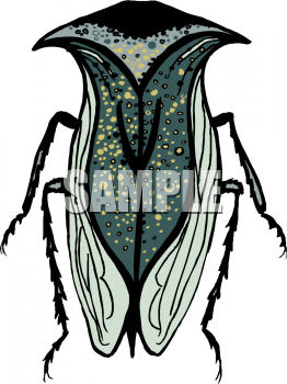 Bug Clipart