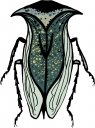 Bug Clipart