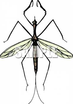 Bug Clipart