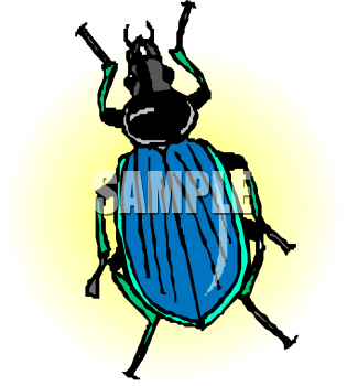 Bug Clipart