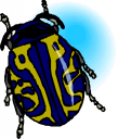 Bug Clipart