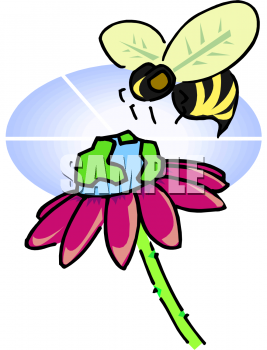 Bug Clipart