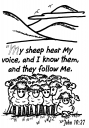 Sheep Clipart