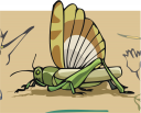 Bug Clipart