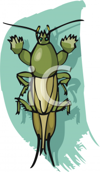 Bug Clipart