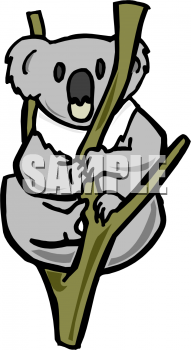 Bear Clipart