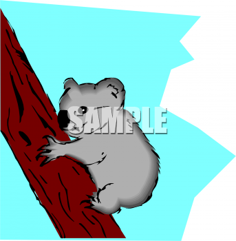 Bear Clipart