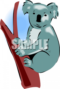 Bear Clipart