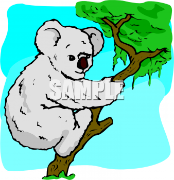 Bear Clipart