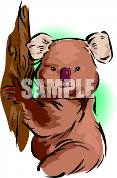 Bear Clipart