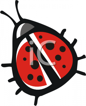 Bug Clipart