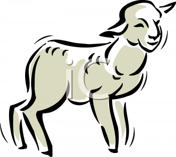 Sheep Clipart