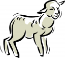 Sheep Clipart