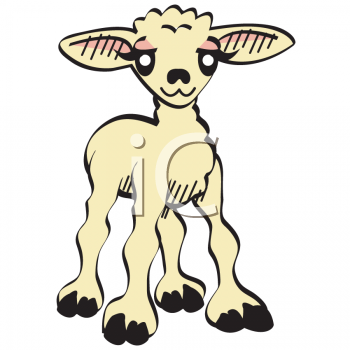 Sheep Clipart