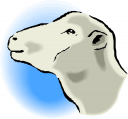 Sheep Clipart