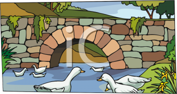 Duck Clipart