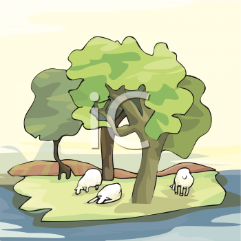 Sheep Clipart