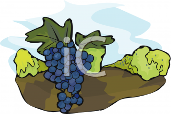 Orchard Clipart