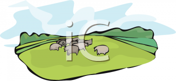 Sheep Clipart