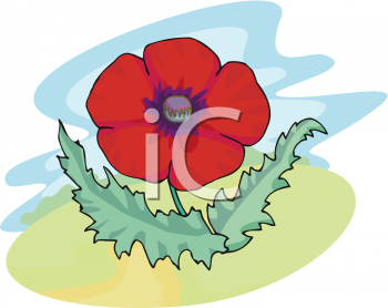 Poppy Clipart