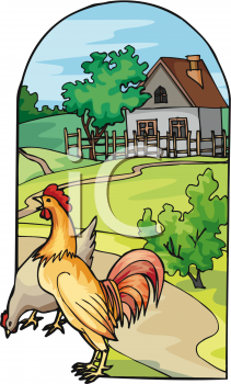 Chicken Clipart