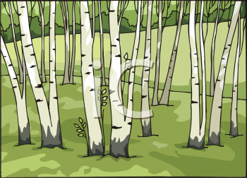 Grass Clipart