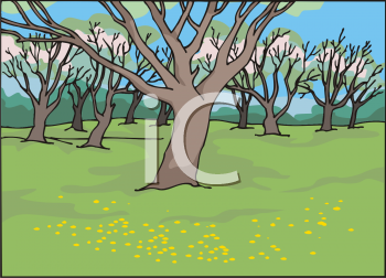 Grass Clipart