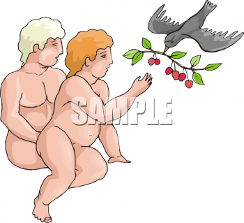 Dove Clipart