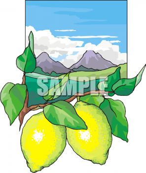 Produce Clipart