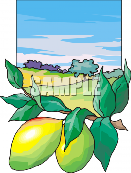 Produce Clipart