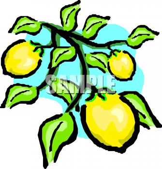 Produce Clipart