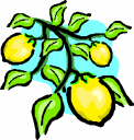 Produce Clipart