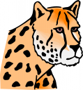 Cat Clipart