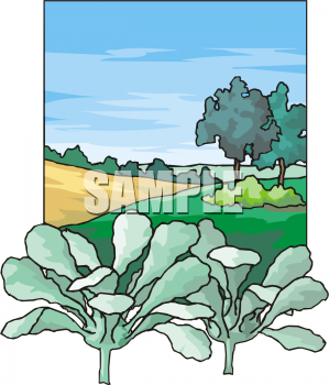 Produce Clipart