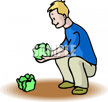 Vegetables Clipart