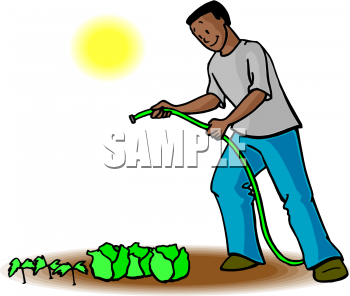 Vegetables Clipart