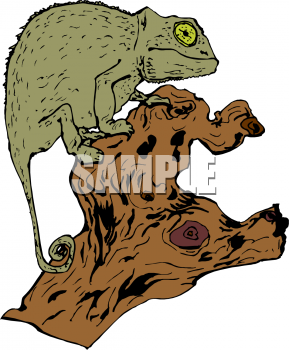 Chameleon Clipart