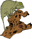 Chameleon Clipart