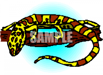 Chameleon Clipart