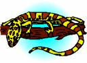 Chameleon Clipart