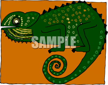 Chameleon Clipart