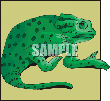 Chameleon Clipart