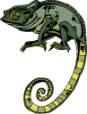 Chameleon Clipart