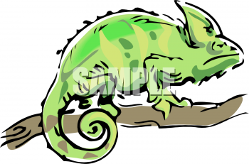 Chameleon Clipart