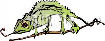 Chameleon Clipart