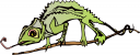 Chameleon Clipart