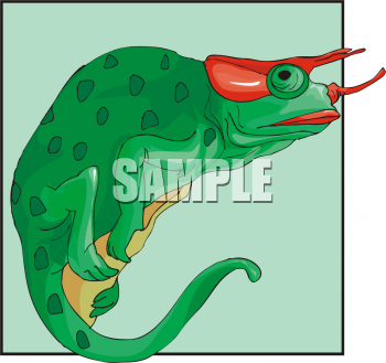 Chameleon Clipart