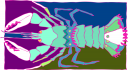 Lobster Clipart